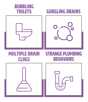 infograph describing the top signs you need sewer service