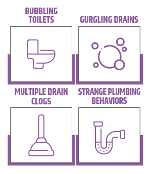 infograph describing the top signs you need sewer service