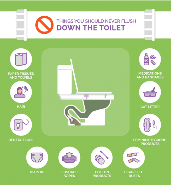 Things you should never flish down the toilet infographic
