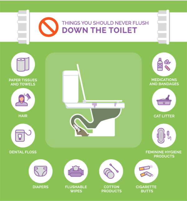 Common Causes of Clogged Toilets & What To Do - Watters Plumbing