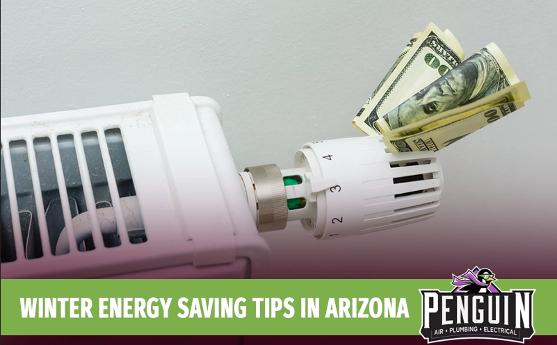 Penguin Air's winter energy saving tips infographic
