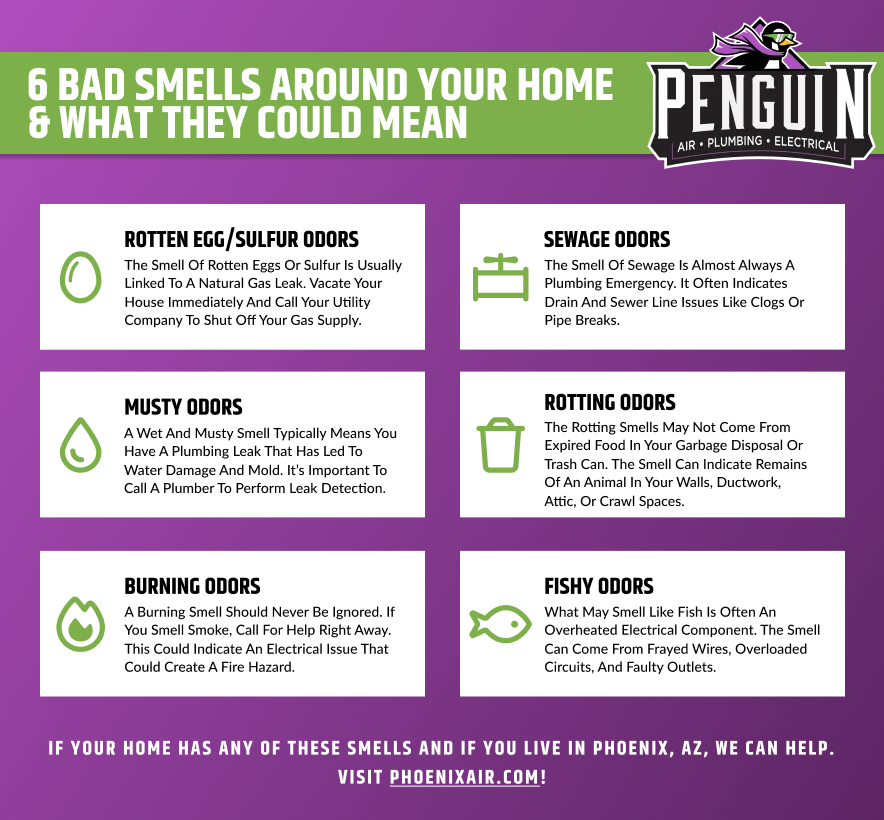 6 Smells at Home and What They Mean Infographic