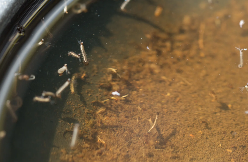 %focuskw% | Penguin Air, Plumbing & Electrical Is Dirty Water Dangerous to Your Health?
